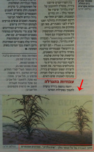 2012 GLOBES - Israeli business daily newspaper